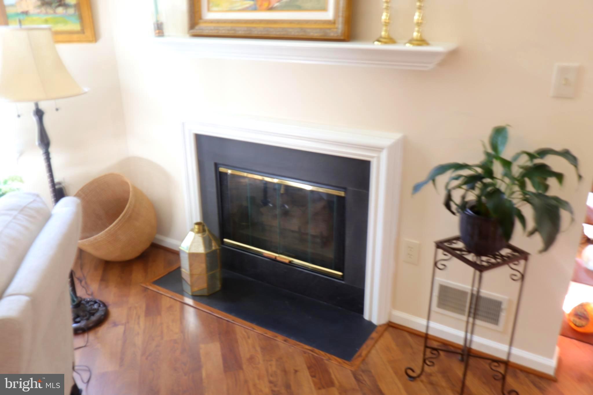 118 Primrose Lane Reading, PA 19610 - Photo 13 of 36 a living room with furniture and a potted plant