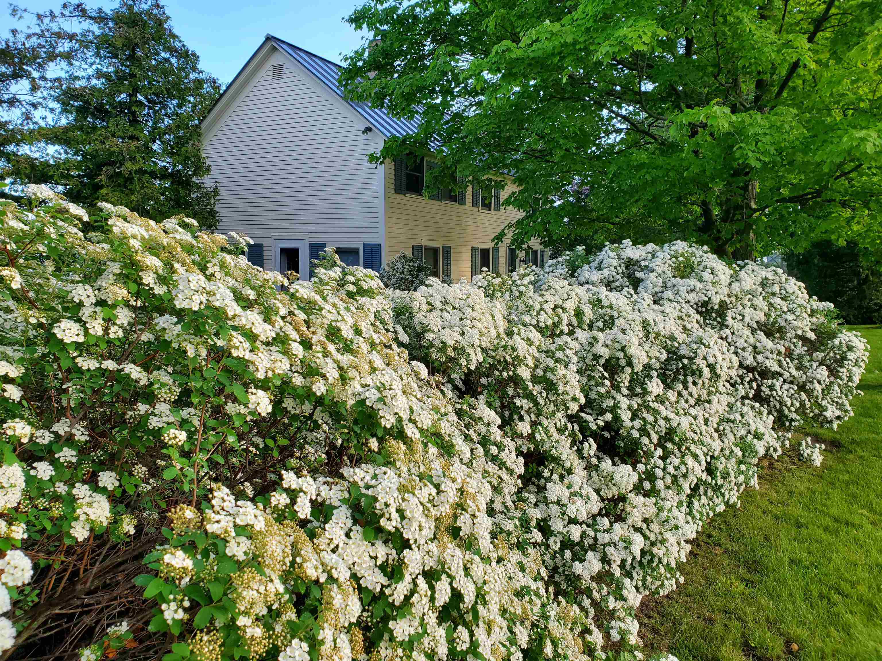 255 West Shore Road Grand Isle, VT 05458 - Photo 9 of 57 Gallery Image 9