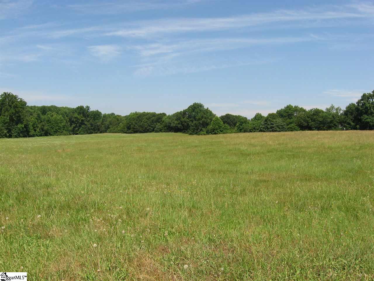 0 Carr Road Piedmont, SC 29673 - Photo 1 of 12