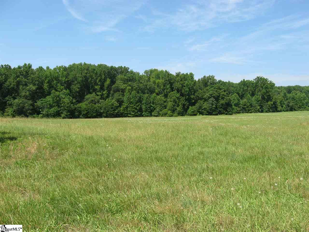0 Carr Road Piedmont, SC 29673 - Photo 2 of 12