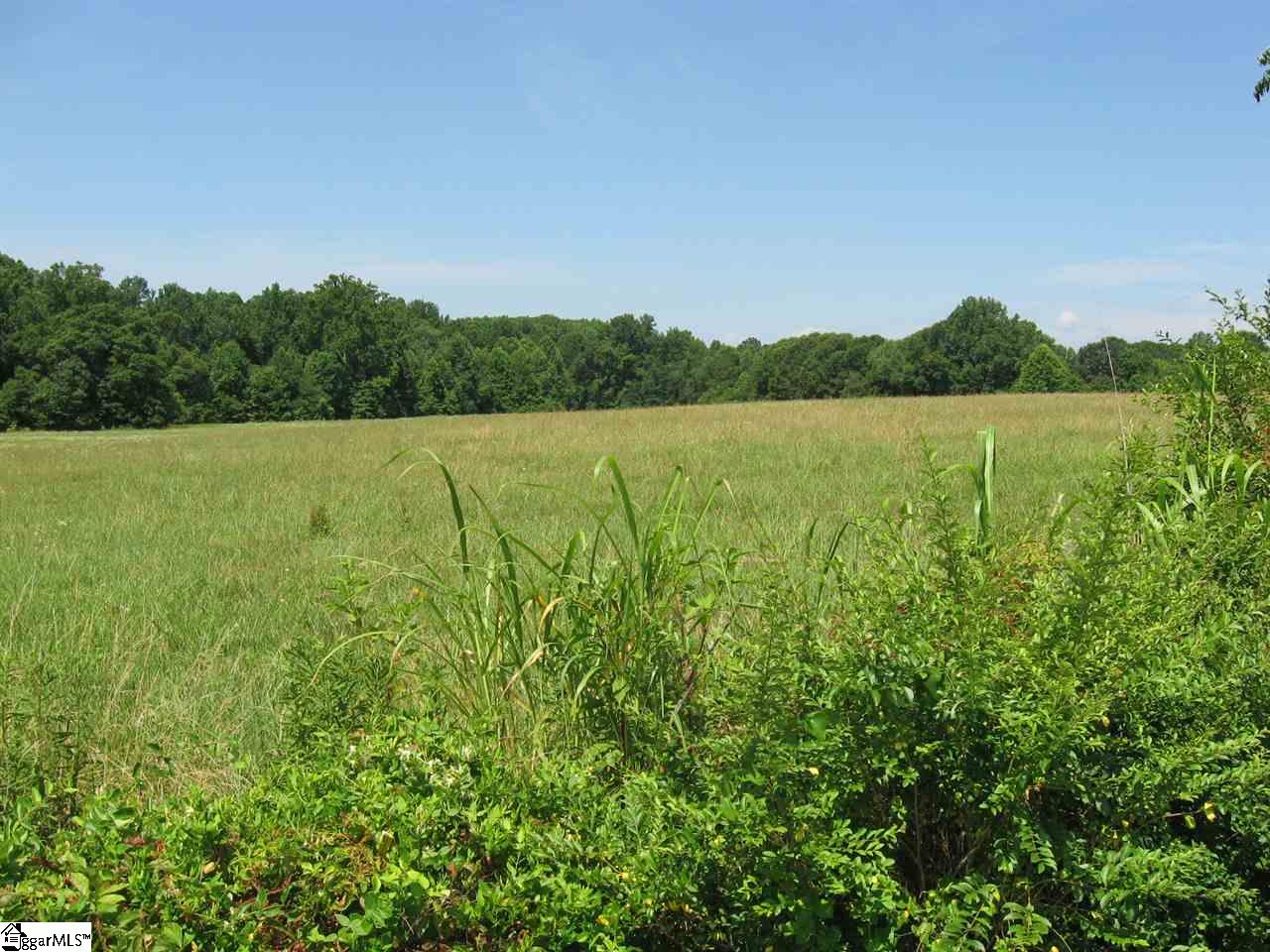 0 Carr Road Piedmont, SC 29673 - Photo 12 of 12