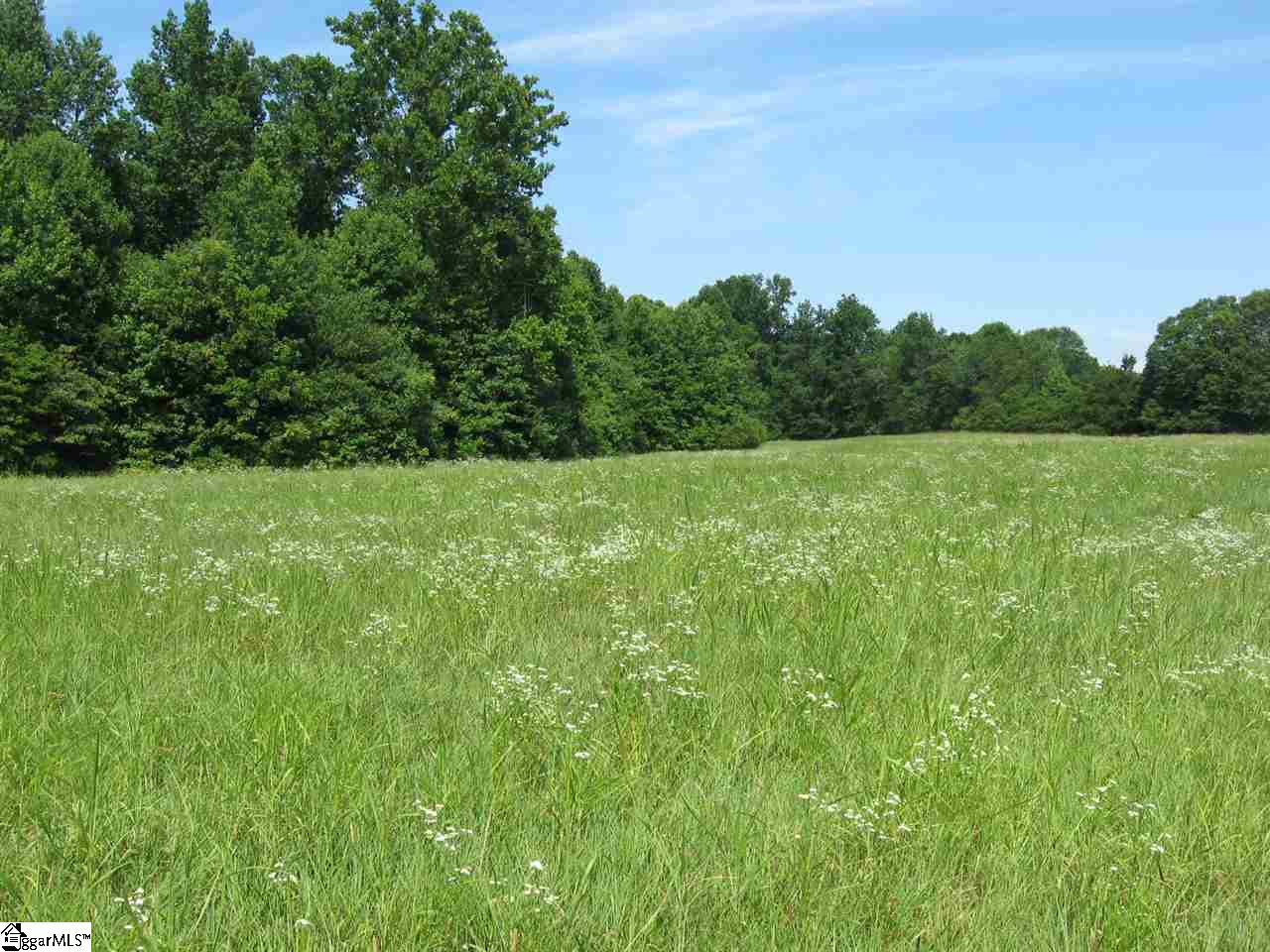 0 Carr Road Piedmont, SC 29673 - Photo 5 of 12