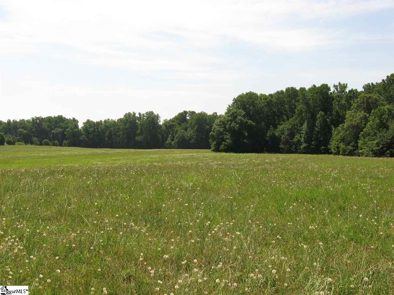 0 Carr Road Piedmont, SC 29673 - Photo 8 of 12