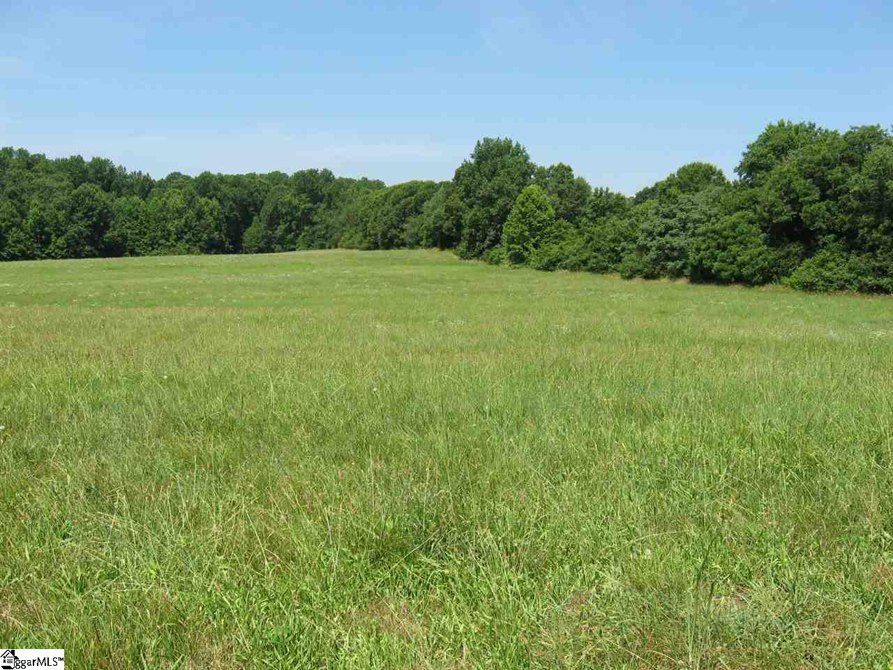 0 Carr Road Piedmont, SC 29673 - Photo 10 of 12