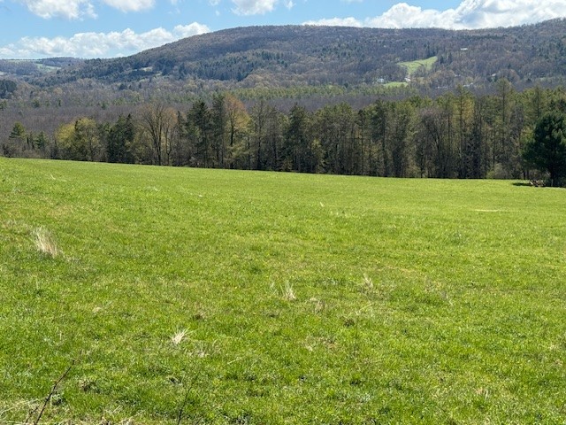 3010 Kelly Road Brookfield, NY 13355 - Photo 21 of 45