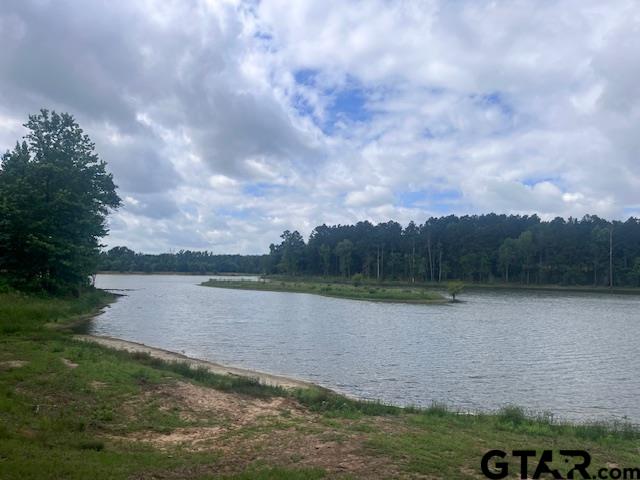Tbd High Pnes Drive Tyler, TX 75708 - Photo 7 of 11 a view of a lake
