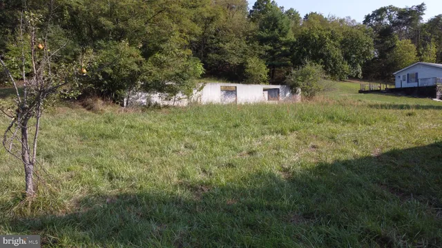 a view of a lush green forest with lots of trees
