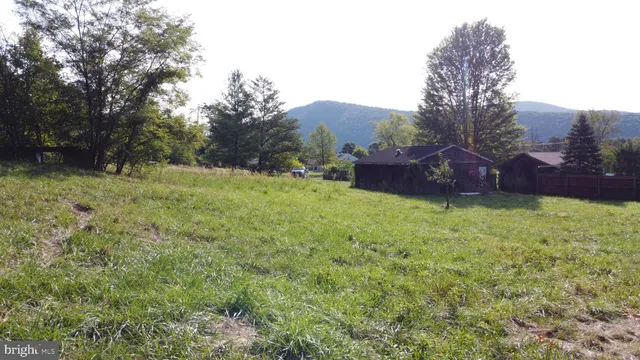 a view of a backyard with a garden