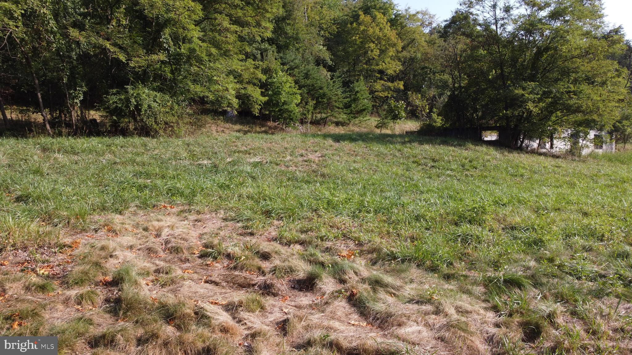 Beverly Avenue Rawlings, MD 21557 - Photo 10 of 14 a view of outdoor space with trees all around
