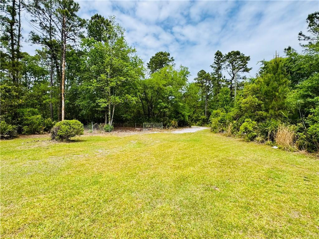 5062 Lampadoshia Road Waverly, GA 31565 - Photo 5 of 25 Front yard