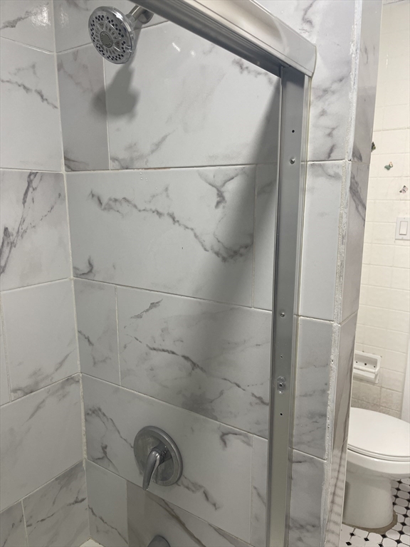 a bathroom with a shower and toilet