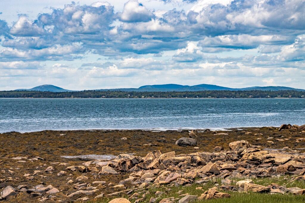 123 Wilderness Shore Road Steuben, ME 04680 - Photo 14 of 40 010 (Copy)