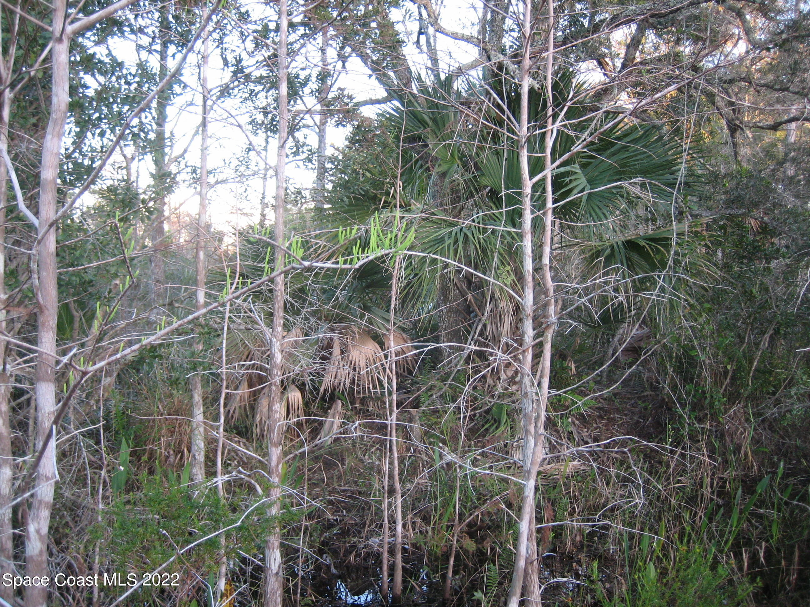 0 Unknown Road Grant Valkaria, FL 32949 - Photo 1 of 10 Grant7(0034)