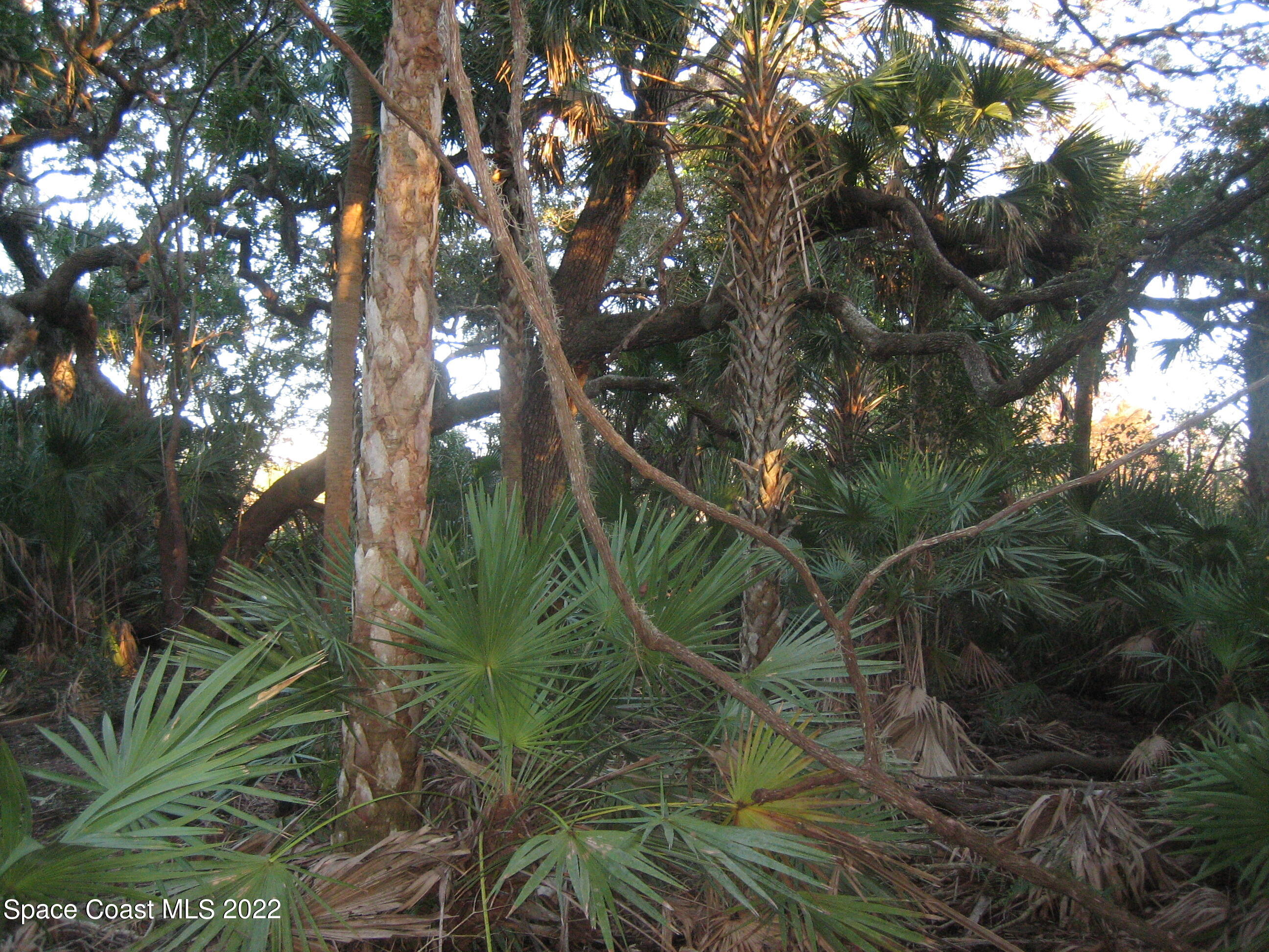 0 Unknown Road Grant Valkaria, FL 32949 - Photo 3 of 10 Grant1(0029)propertySline
