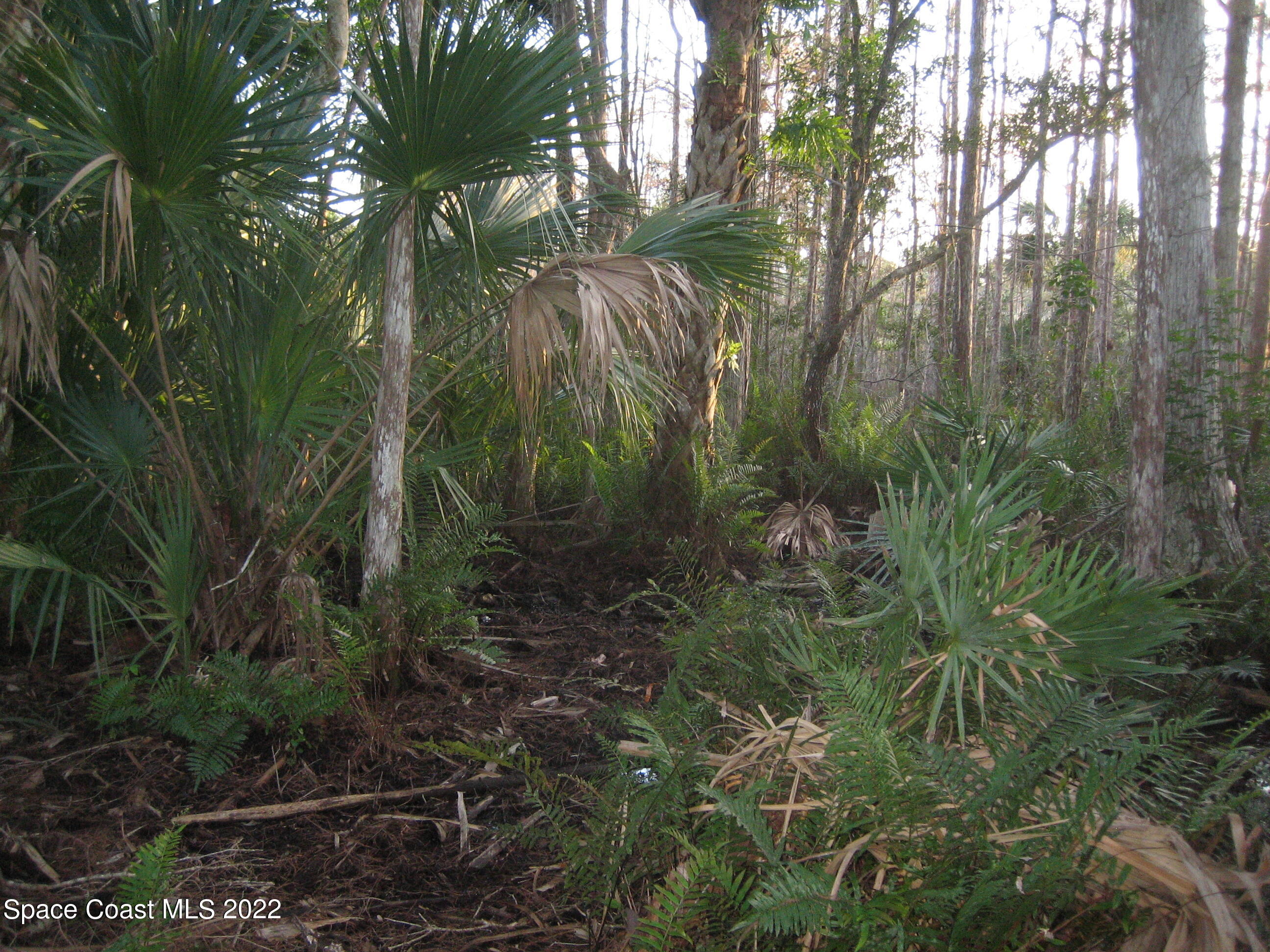 0 Unknown Road Grant Valkaria, FL 32949 - Photo 4 of 10 Grant2(0028)S prop line