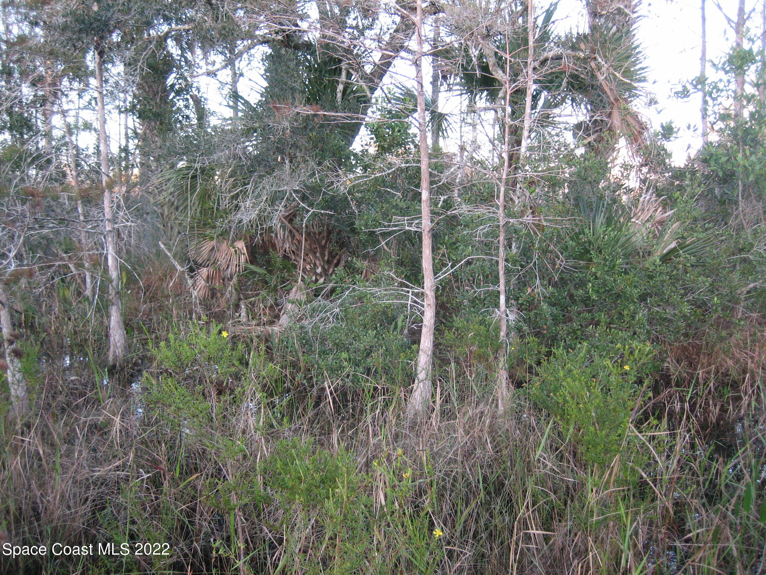 0 Unknown Road Grant Valkaria, FL 32949 - Photo 6 of 10 Grant6(0033)