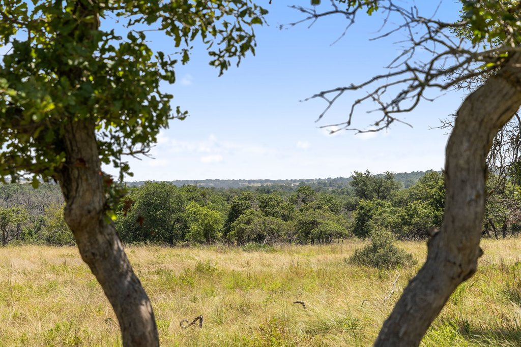 Tbd Reeh Road Fredericksburg, TX 78624 - Photo 32 of 37 Vast, open grasslands and verdant woodlands define this serene, expansive lot.