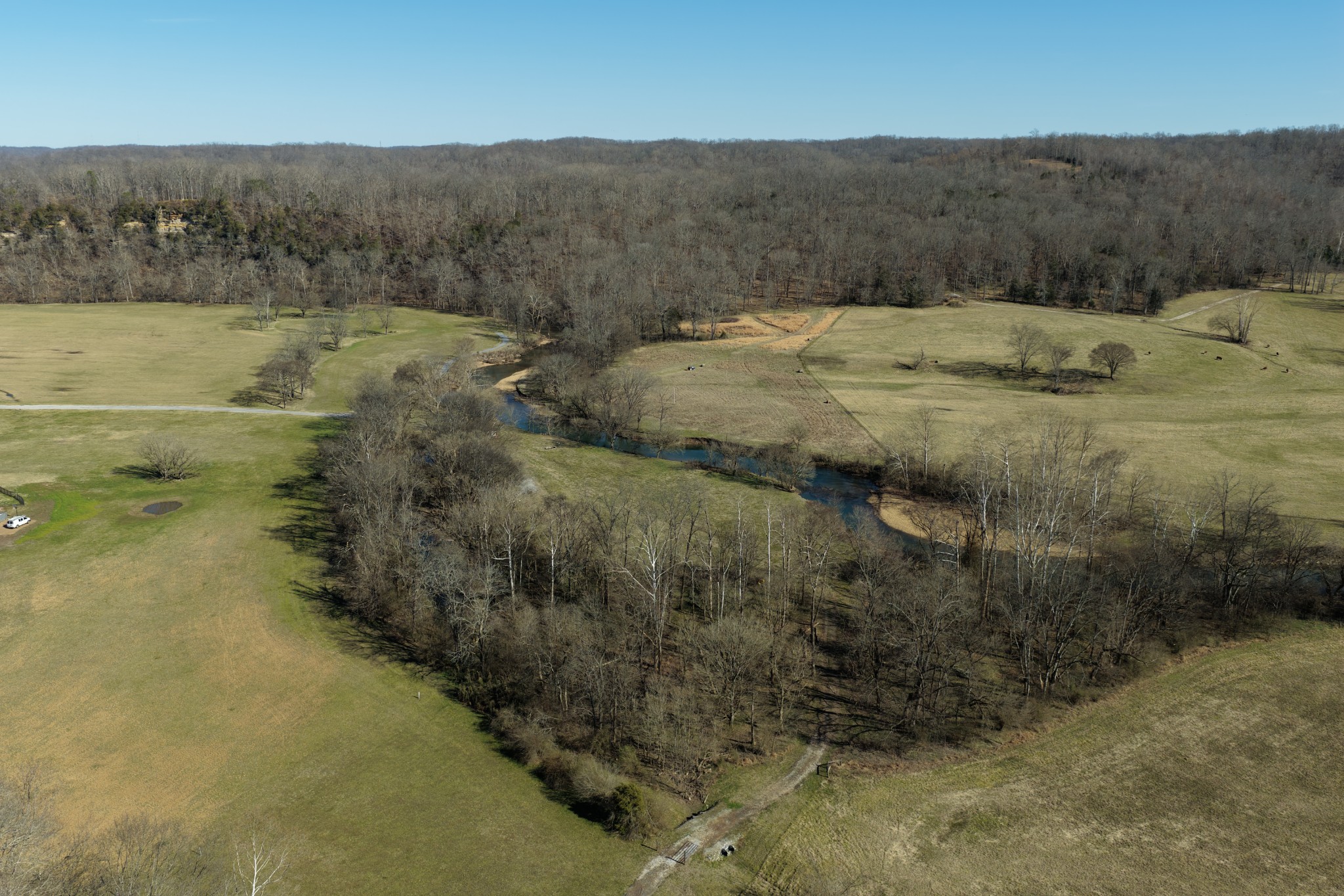 0 Old Harding Road Franklin, TN 37064 - Photo 20 of 28 a view of a dry yard