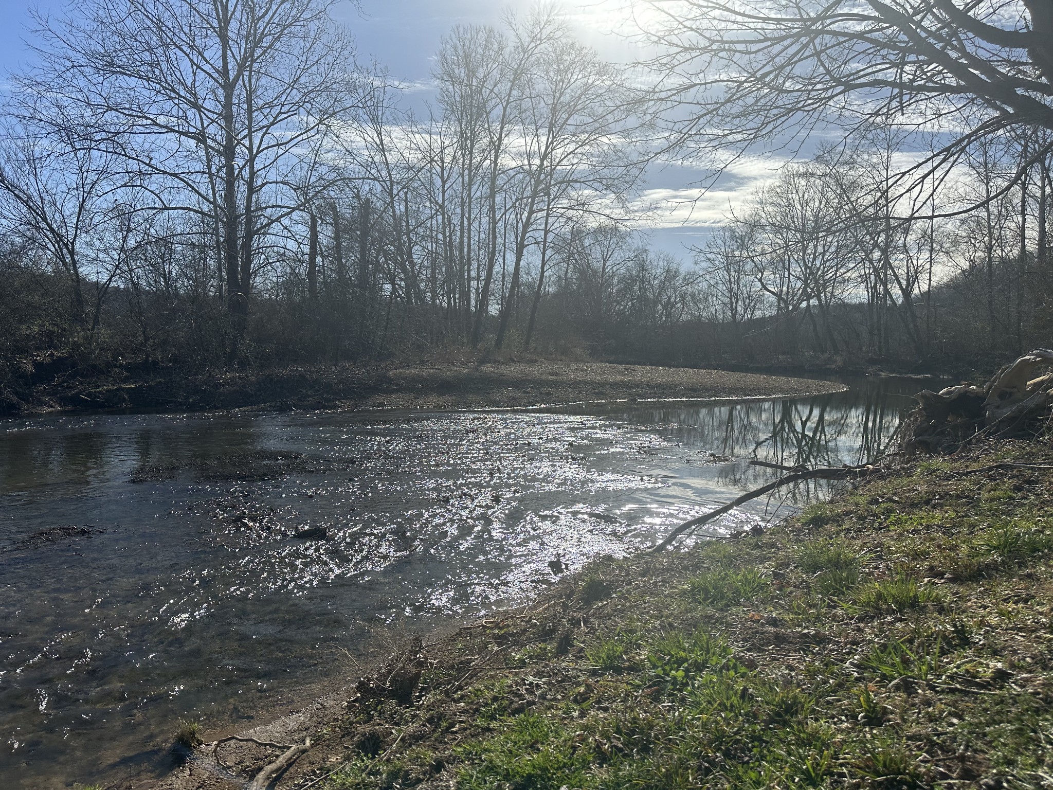 0 Old Harding Road Franklin, TN 37064 - Photo 3 of 28 a view of a yard