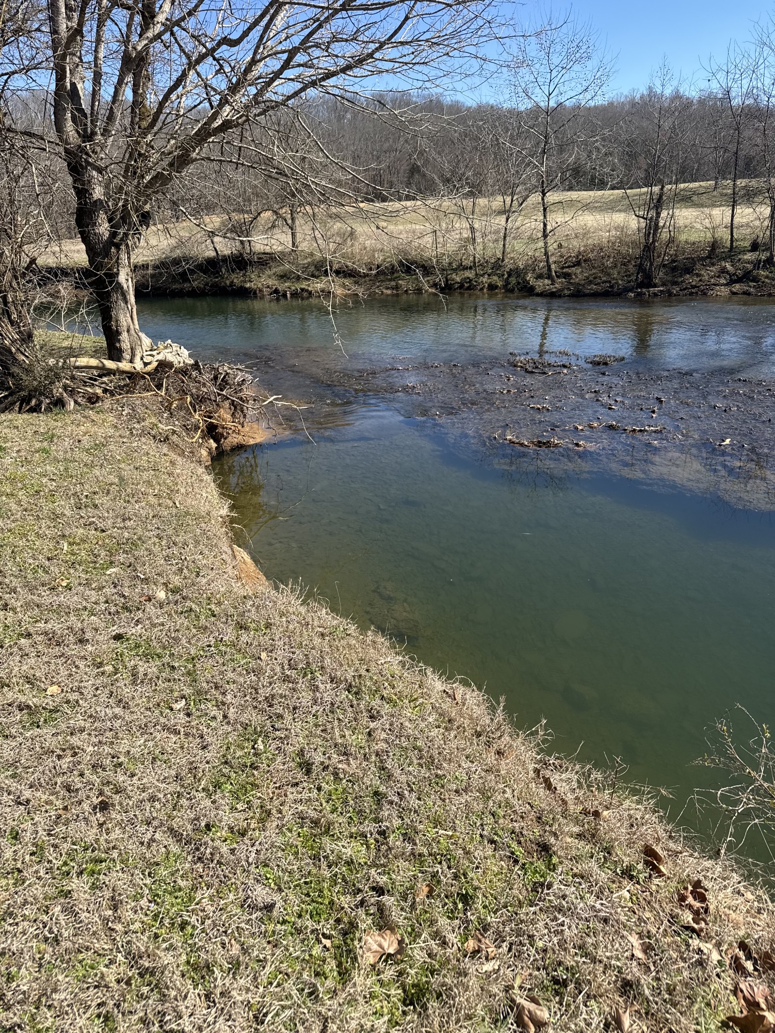 0 Old Harding Road Franklin, TN 37064 - Photo 5 of 28 a view of lake