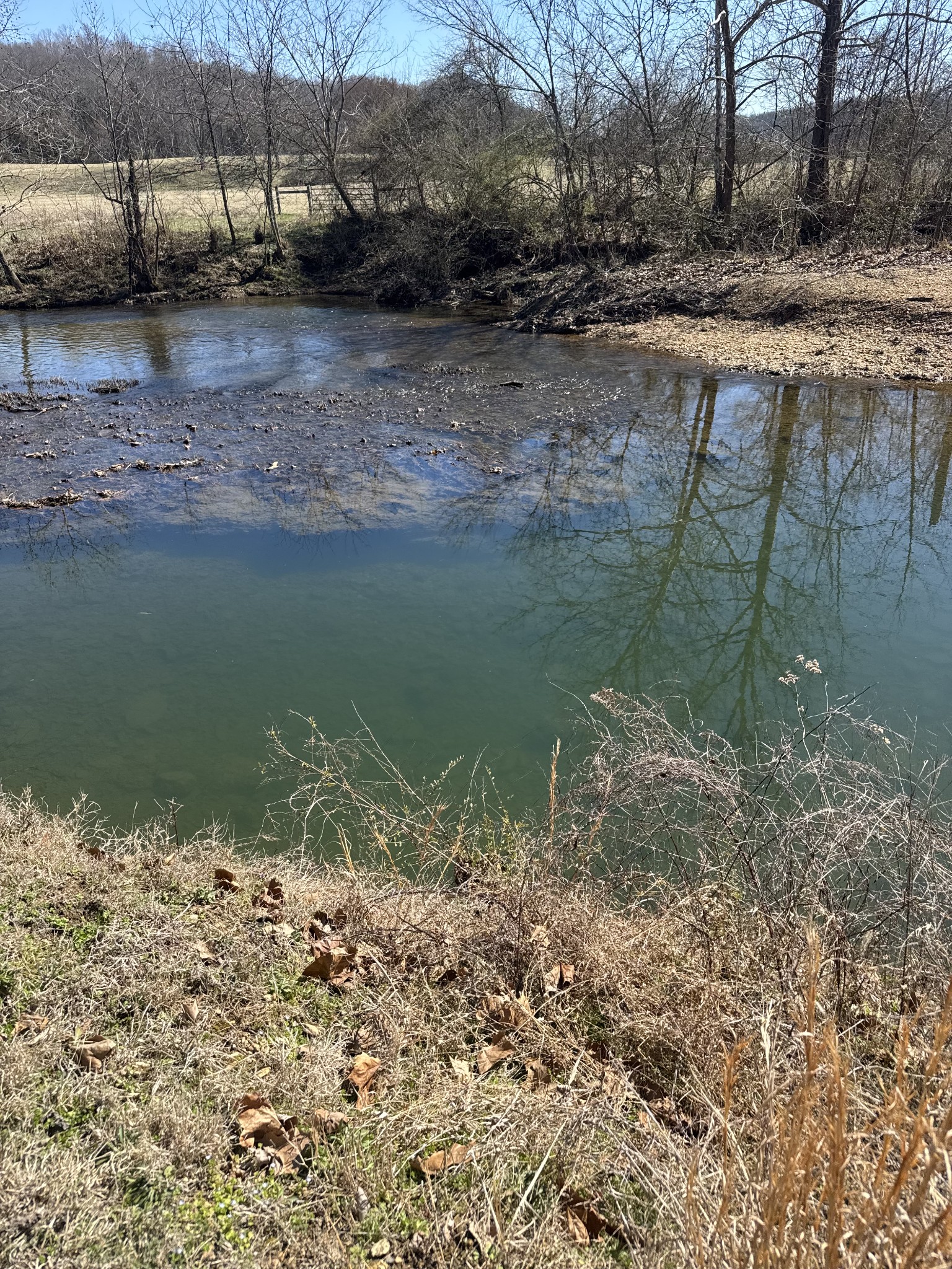 0 Old Harding Road Franklin, TN 37064 - Photo 6 of 28 a view of a lake view