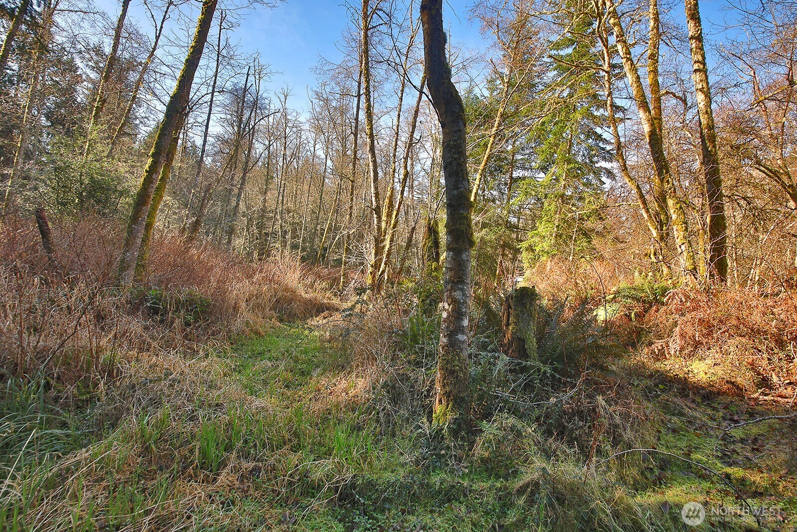 6880 Holst Road Clinton, WA 98236 - Photo 13 of 17
