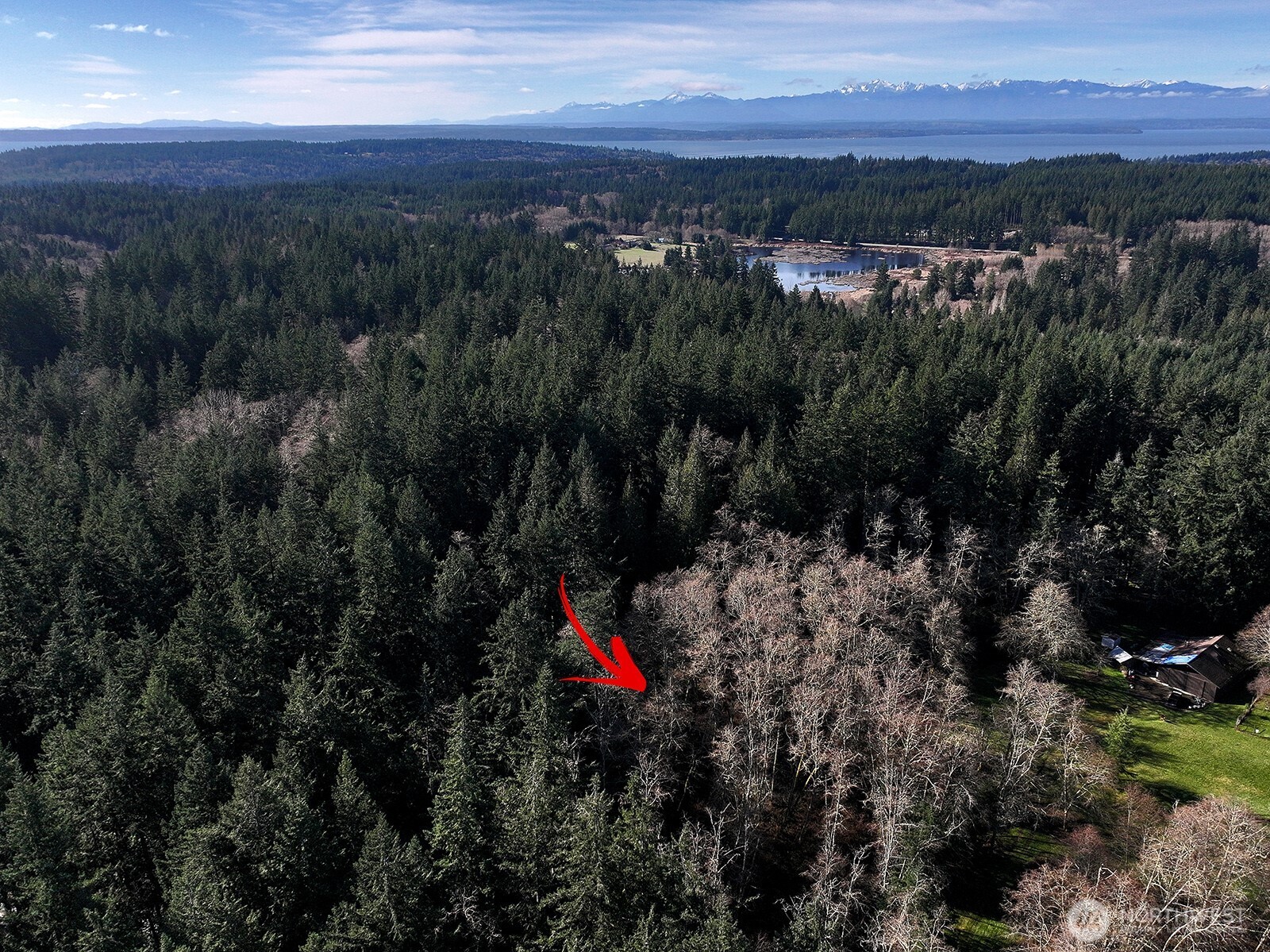 6880 Holst Road Clinton, WA 98236 - Photo 16 of 17