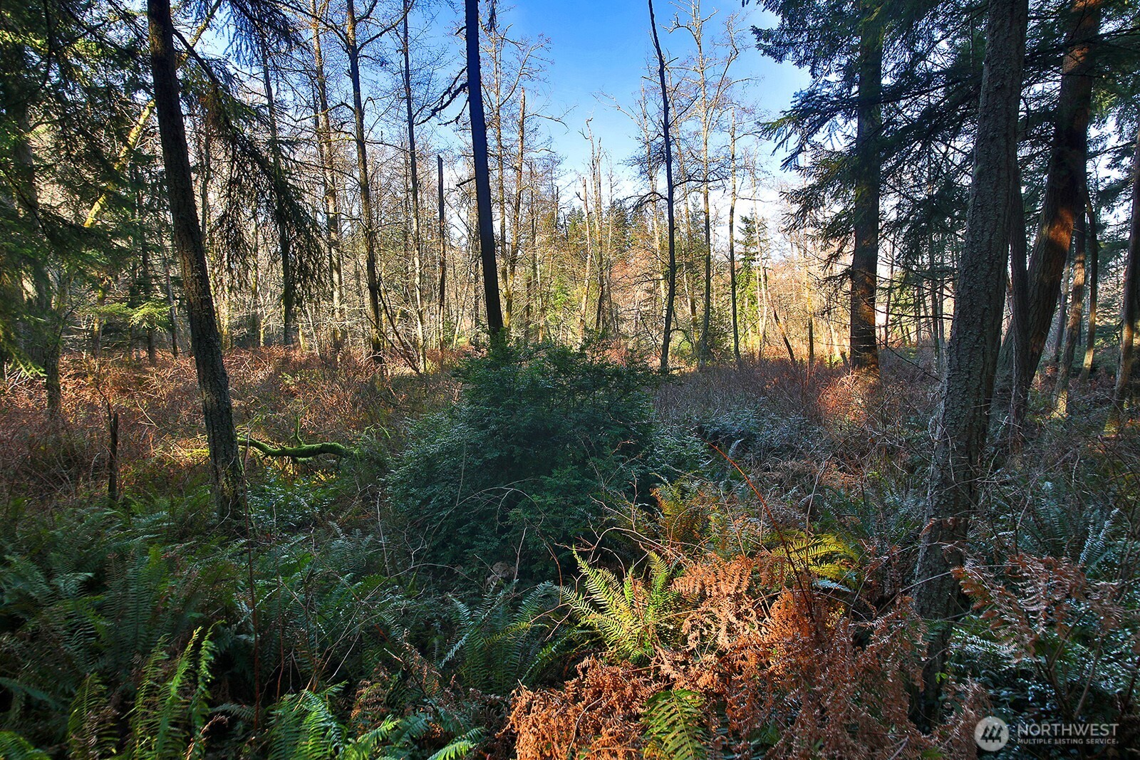 6880 Holst Road Clinton, WA 98236 - Photo 6 of 17