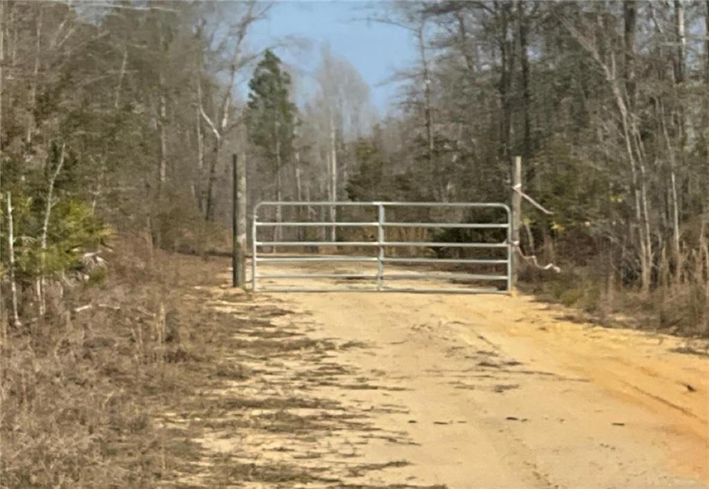 0 Luther Surrency Rd Circle Baxley, GA 31513 - Photo 2 of 2