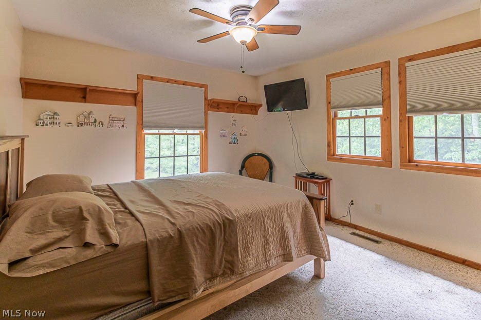 8444 Cox Road Windsor, OH 44099 - Photo 10 of 22 Gallery Image 10