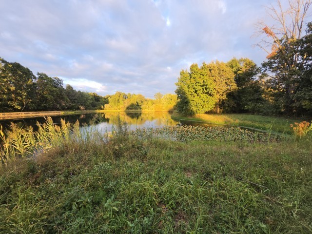 0 East Knox Road Mount Vernon, IL 62864 - Photo 37 of 49 Gallery Image 37