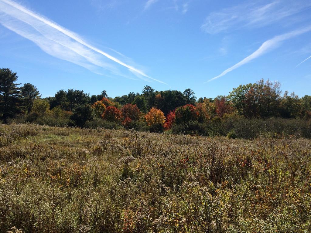 500 Gross Neck Road Waldoboro, ME 04572 - Photo 4 of 18 Photo