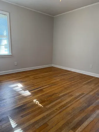 a view of a yard with a large tree