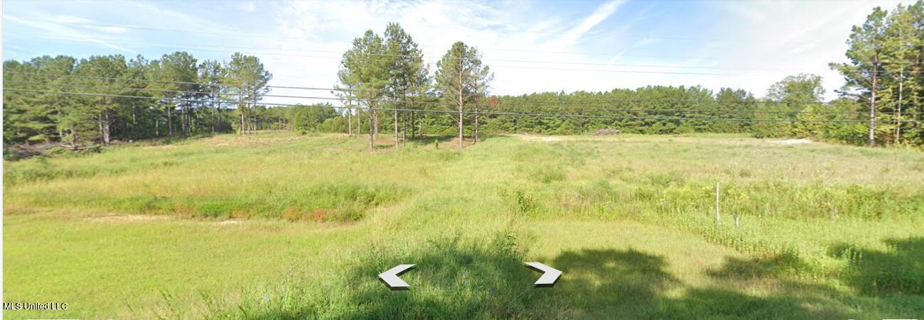 Lot 3 Fogg Road Lake Cormorant, MS 38641 - Photo 2 of 3 Front