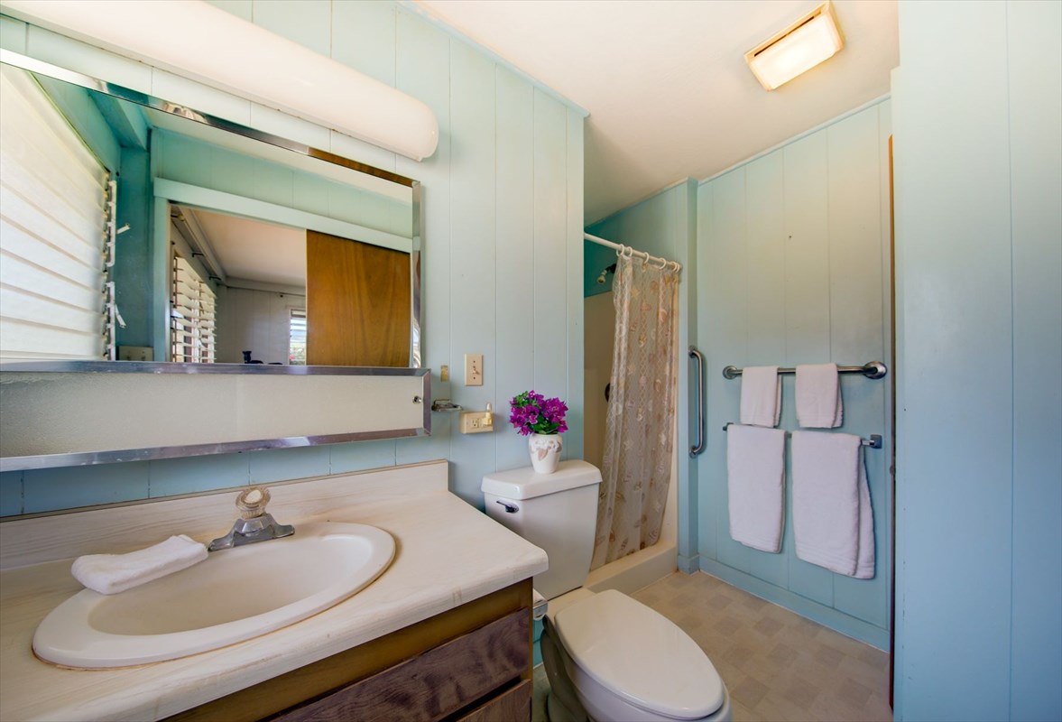 180 Ulaula Road Eleele, HI 96705 - Photo 21 of 23 a bathroom with a sink toilet and shower