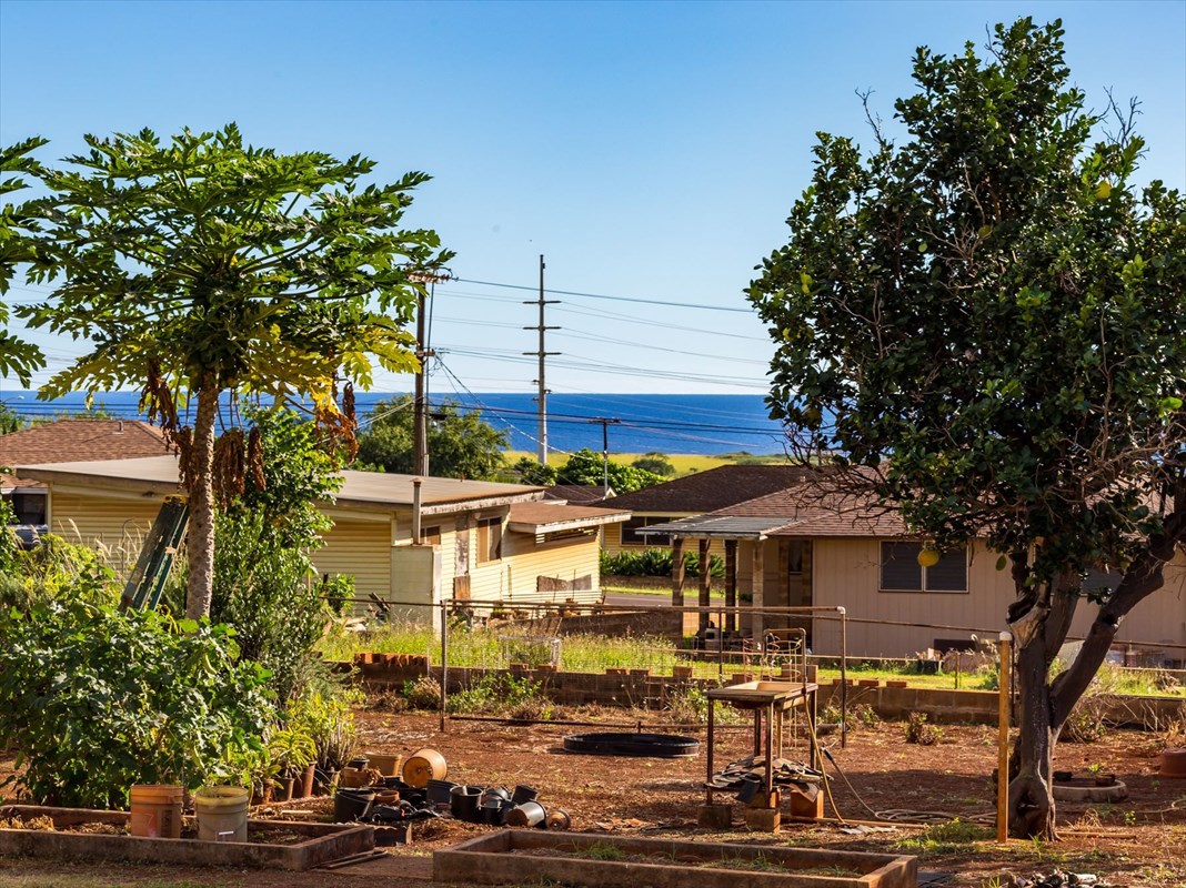 180 Ulaula Road Eleele, HI 96705 - Photo 5 of 23 a front view of a building with street view