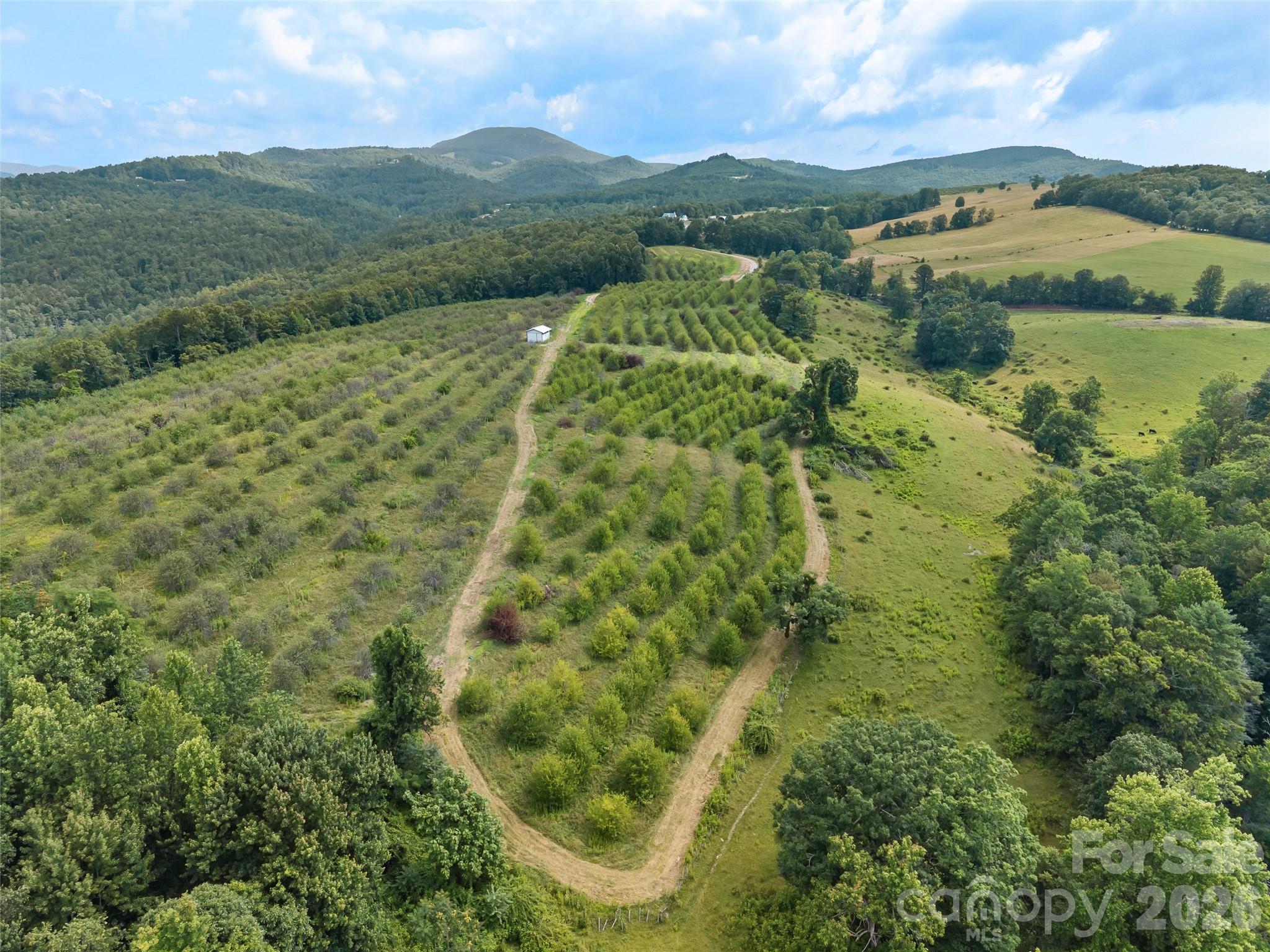 0 Summer Road, Unit 5 Hendersonville, NC 28792 - Photo 14 of 20