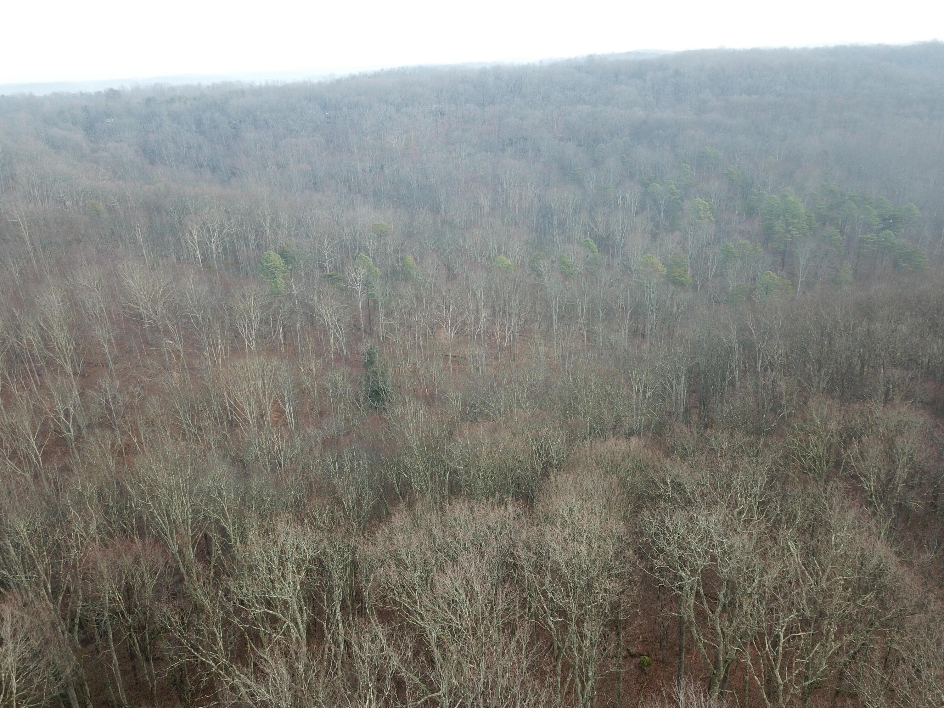 12001 West Buck Run Road Rockbridge, OH 43149 - Photo 8 of 12