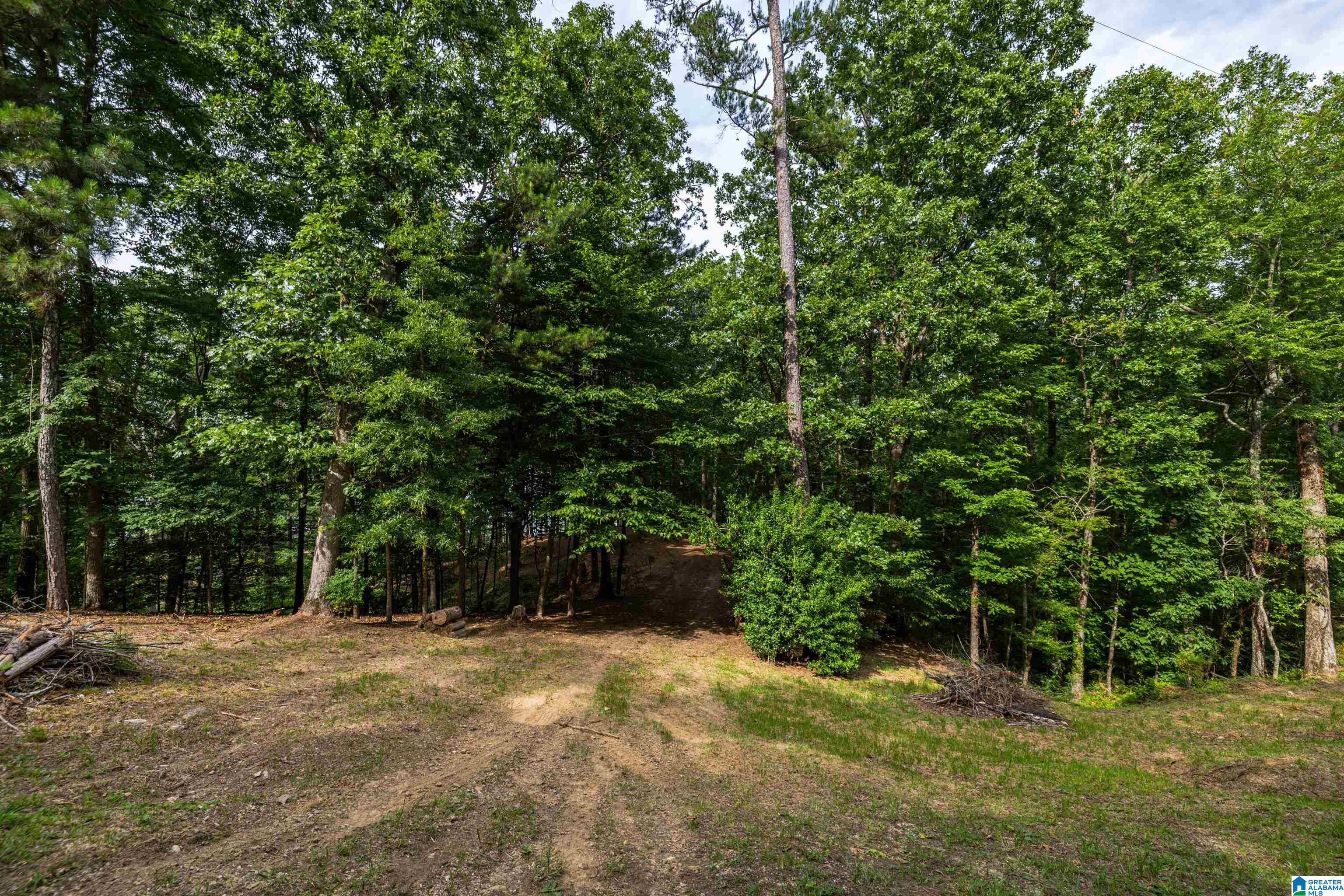 58 East Sunset Boulevard Oneonta, AL 35121 - Photo 20 of 40