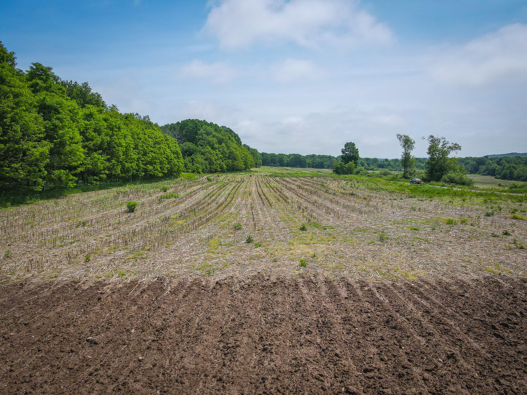 V/l West Johnson Road Shelby, MI 49455 - Photo 6 of 17 DJI_0382