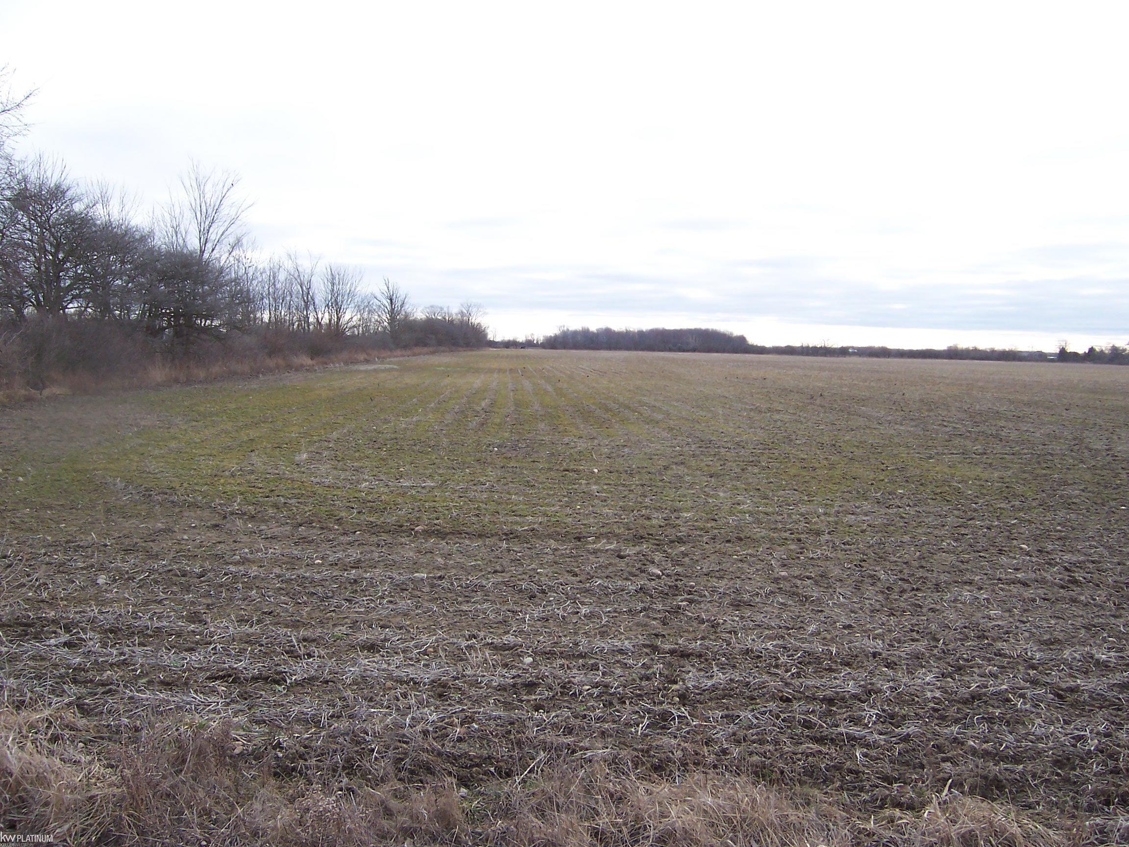Lot B Stoddard Road Columbus, MI 48063 - Photo 1 of 2