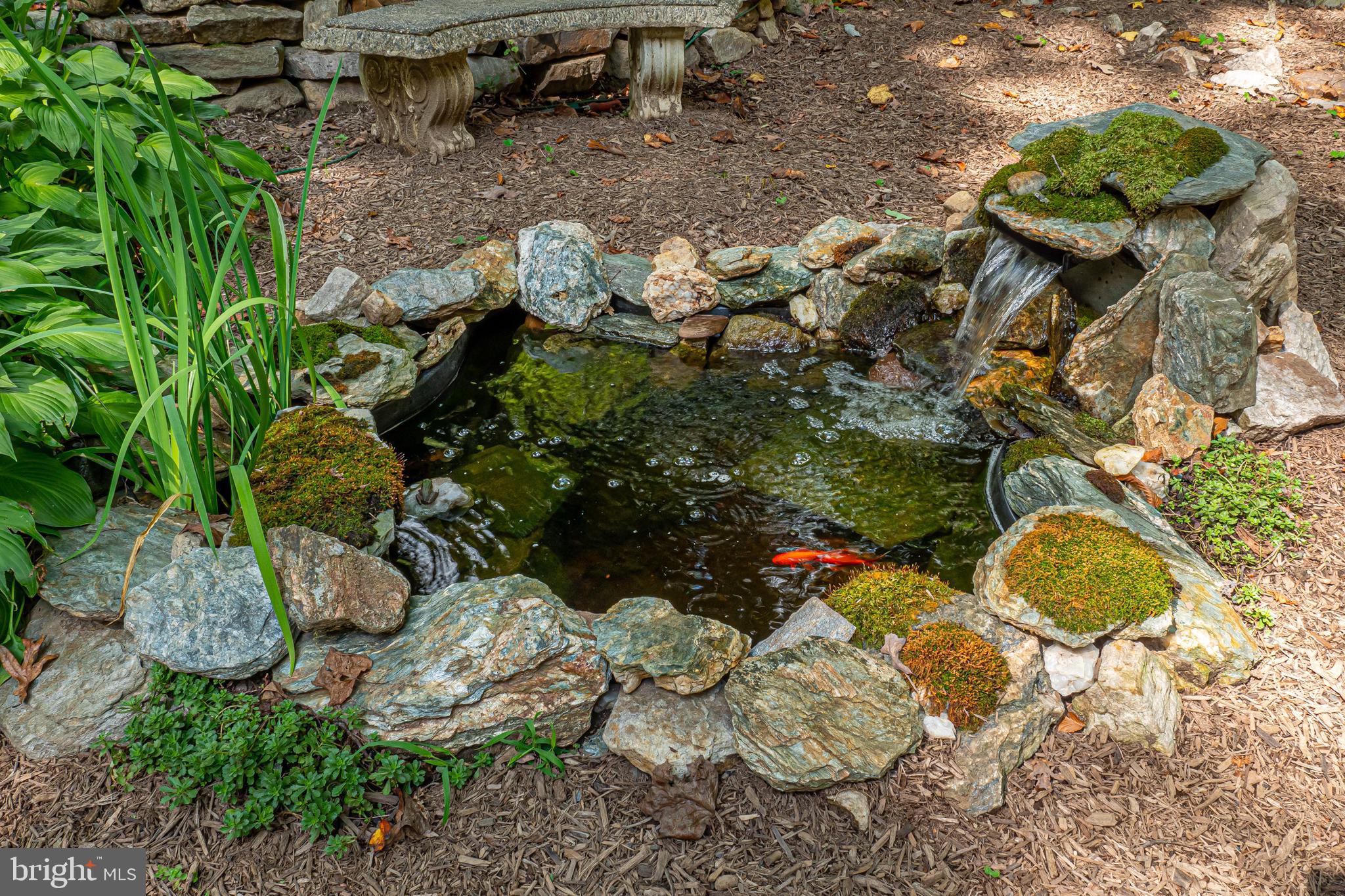 512 Conestoga Road Malvern, PA 19355 - Photo 52 of 57 Koi Pond