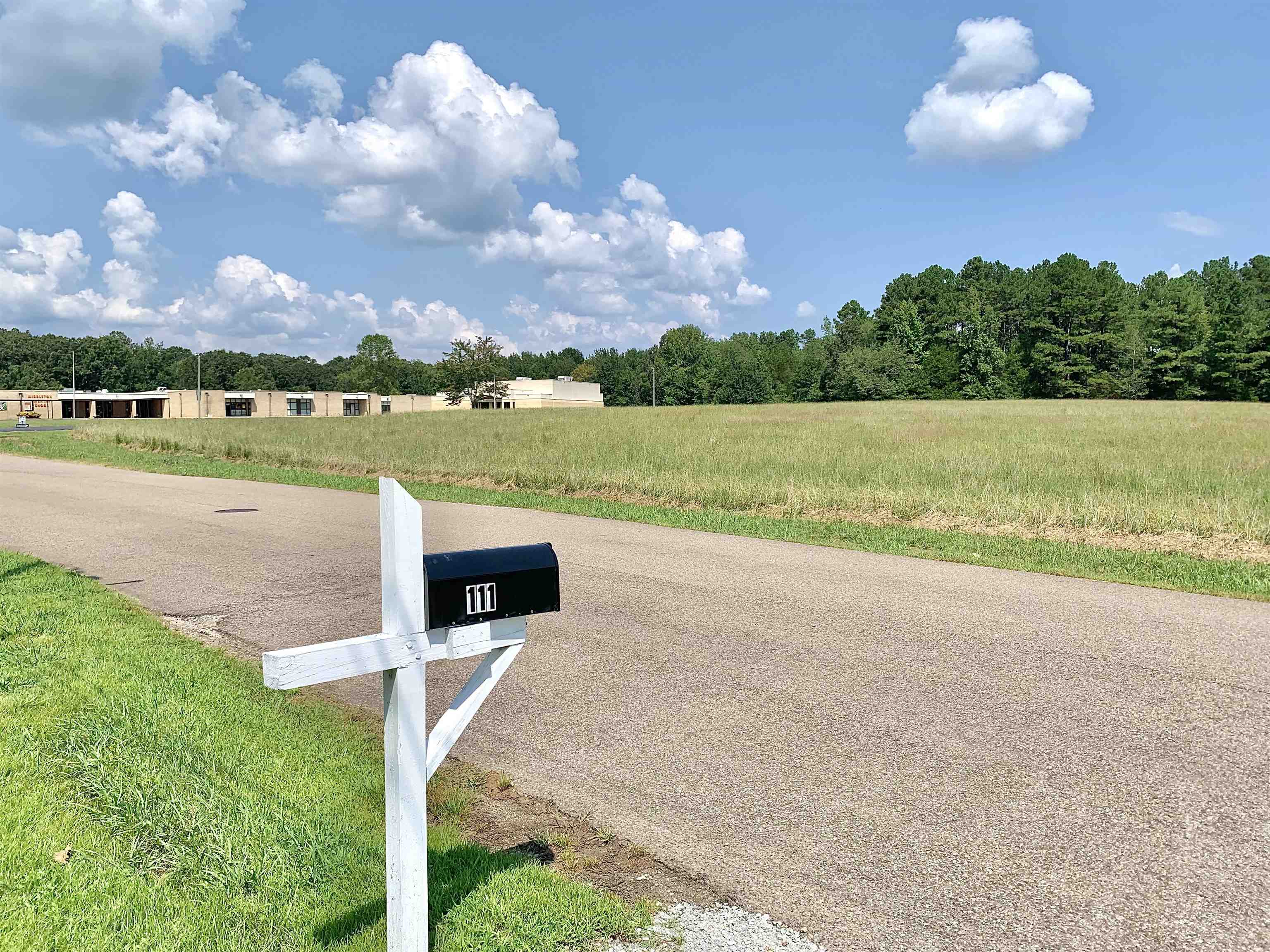 111 Robin Court Middleton, TN 38052 - Photo 22 of 23 a view of a lake with a big yard