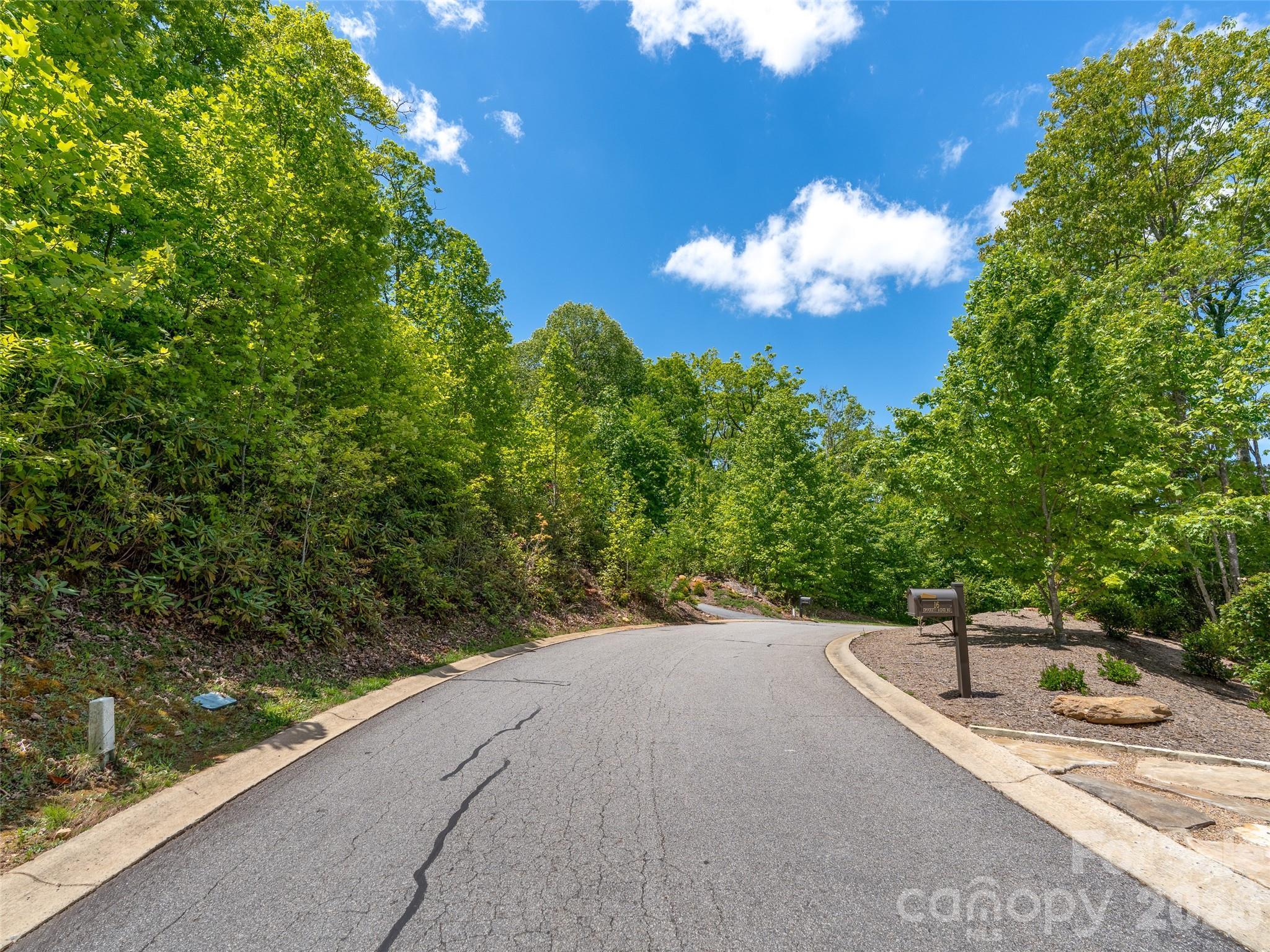 9 Crockett Ridge Road Black Mountain, NC 28711 - Photo 12 of 17