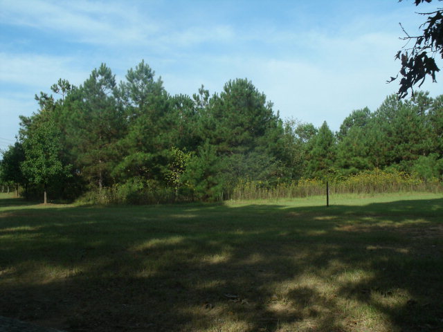 460 Bryant Road Byron, GA 31008 - Photo 15 of 19 Additional Photo