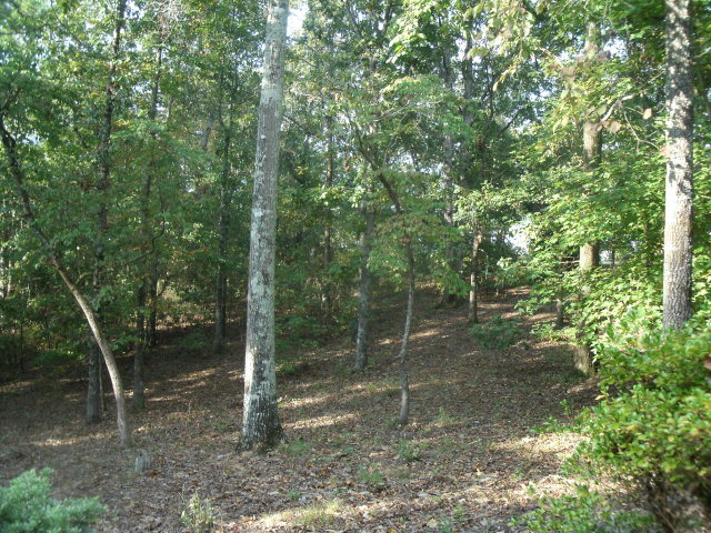 460 Bryant Road Byron, GA 31008 - Photo 19 of 19 Additional Photo