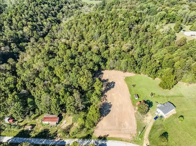 a view of a yard with plants