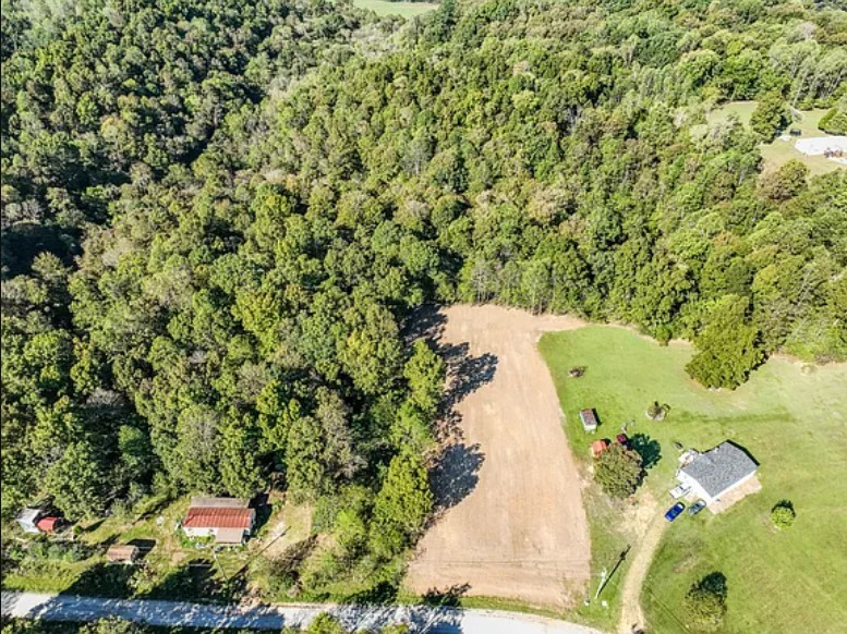 a view of a yard with plants