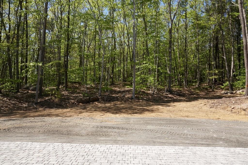 56 Pine Hill Road York, ME 03902 - Photo 24 of 34 View from the patio into the woods....