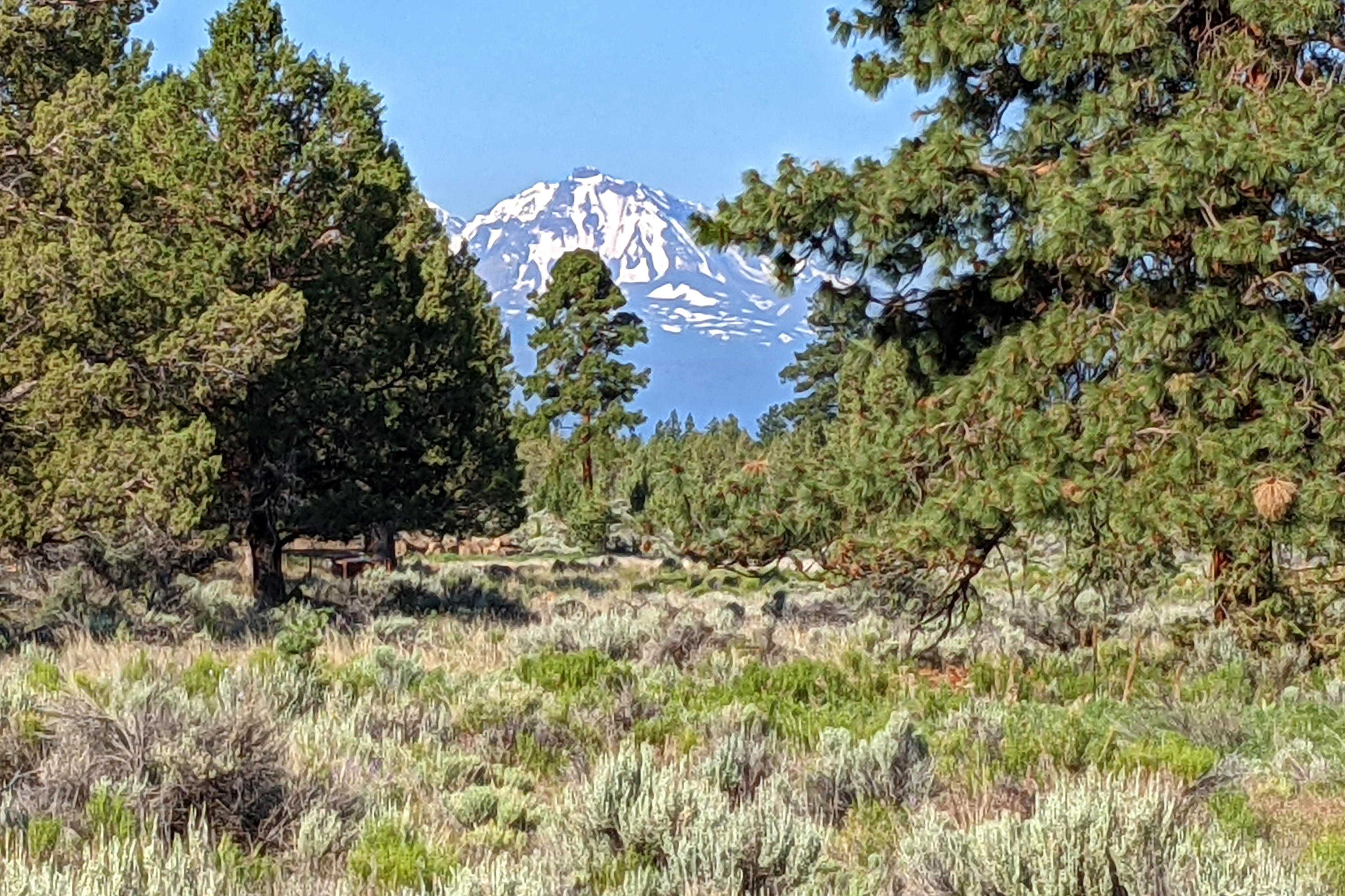View From NW End of Lot